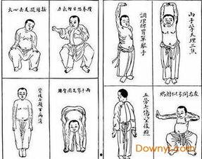 八段锦标准口令视频,轻松入门，养生保健操