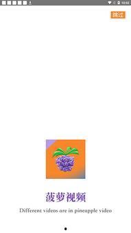 菠萝视频网,探索短视频新天地，畅享精彩瞬间